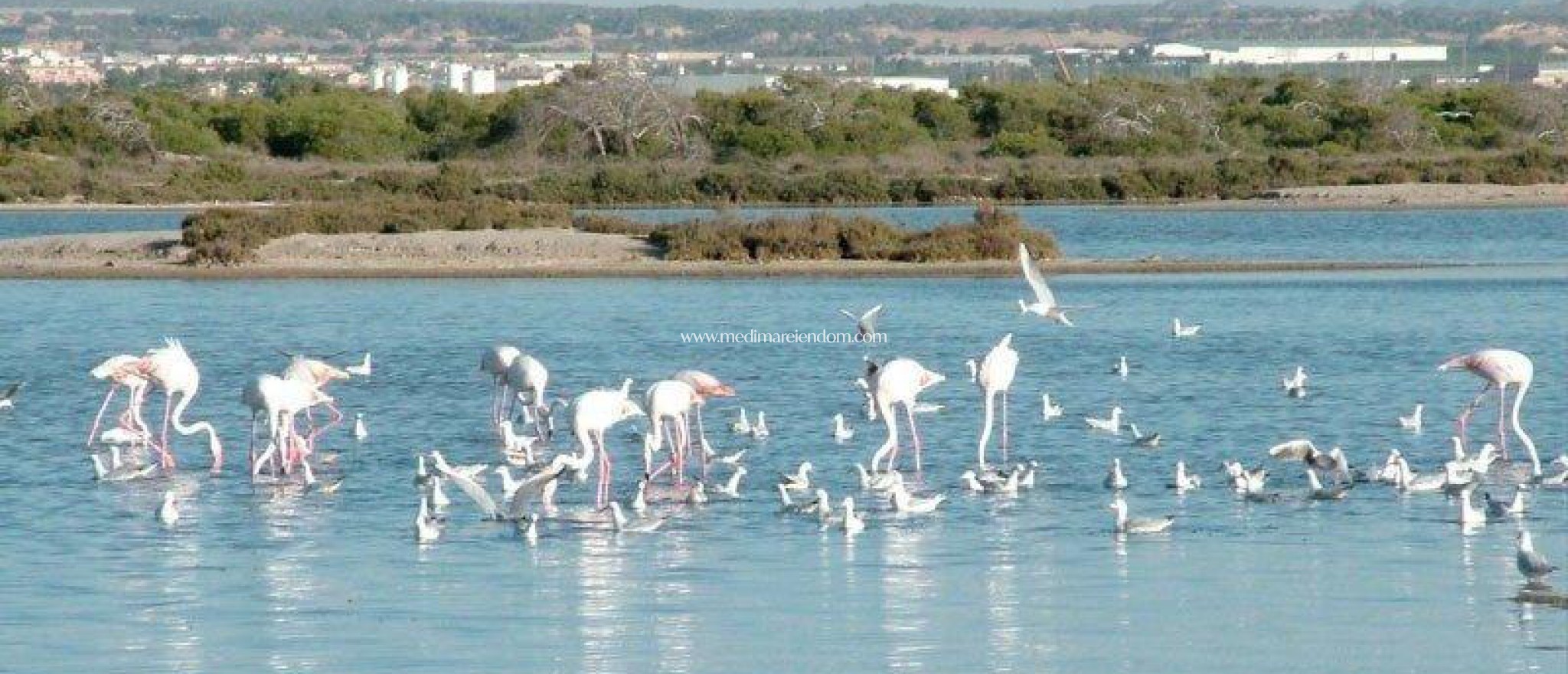 Nybyggnad - Quad House - San Pedro del Pinatar - Las Esperanzas