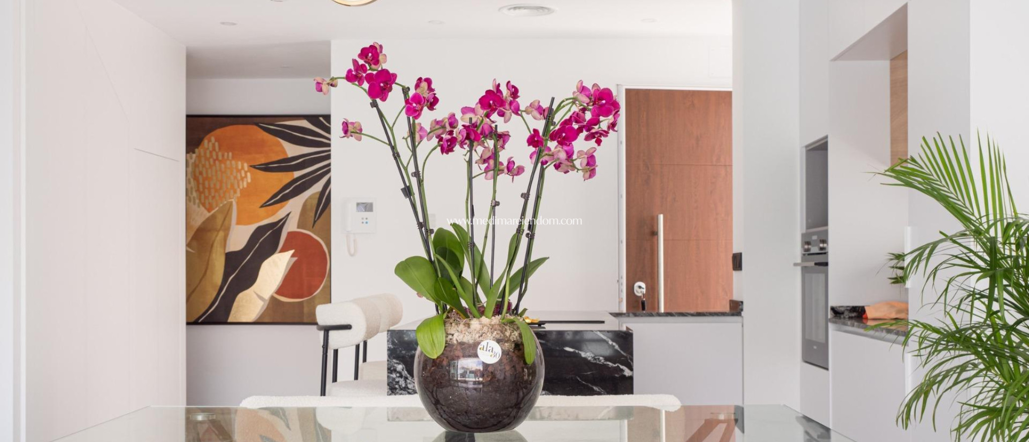 Nybyggnad - Quad House - San Pedro del Pinatar - San Pedro De Pinatar