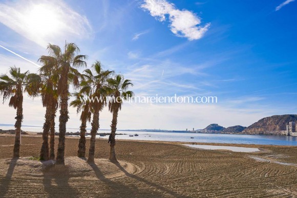 Nybyggnad - Villa - Els Poblets - Barranquet