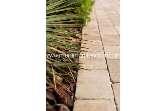 Nybyggnad - Villa - Pilar de la Horadada - El Mojón