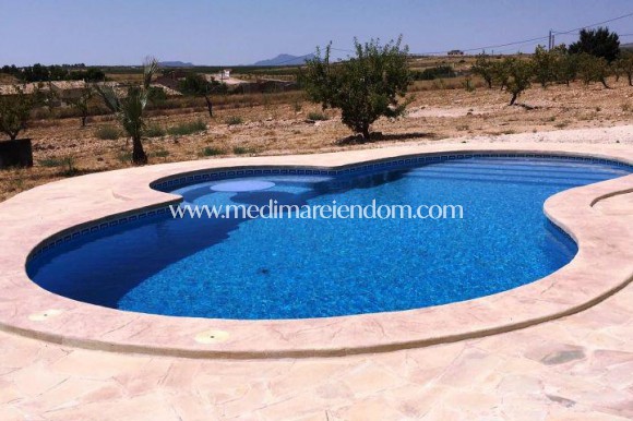 Nybyggnad - Villa - Pinoso - Centro