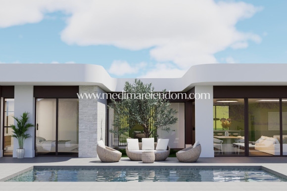 Nybyggnad - Villa - Pinoso - Lel