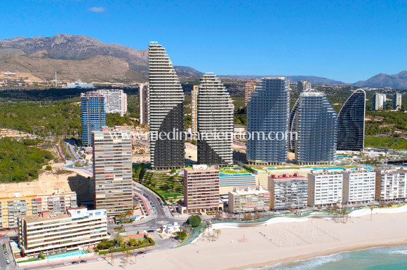 Obra Nueva - Apartamento - Benidorm - Poniente