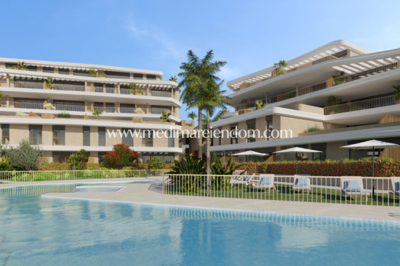 Obra Nueva - Apartamento - Cancelada