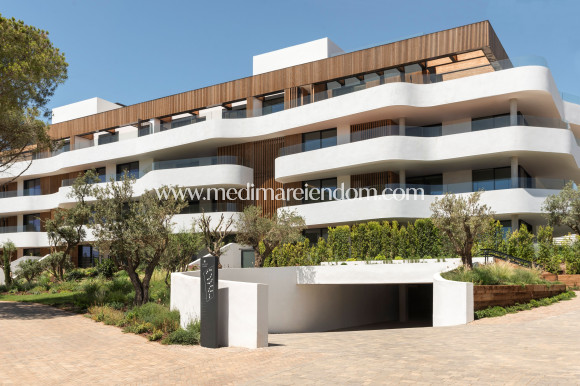 Obra Nueva - Apartamento en planta baja - Pueblo Nuevo