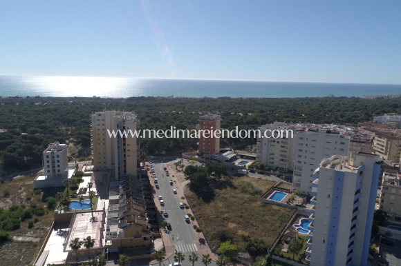 Obra Nueva - Apartamento - Guardamar del Segura - Pueblo