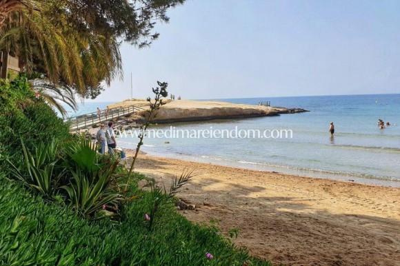 Obra Nueva - Apartamento - San Juan de los Terreros