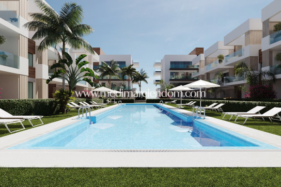Obra Nueva - Apartamento - San Pedro del Pinatar - San Pedro Del Pinatar