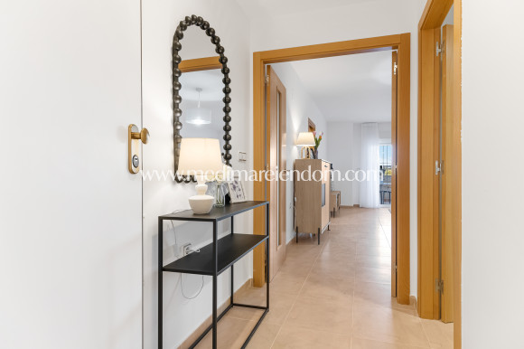 Obra Nueva - Ático - Orihuela Costa