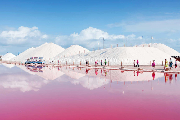 Obra Nueva - Ático - Torrevieja - Playa De Los Locos