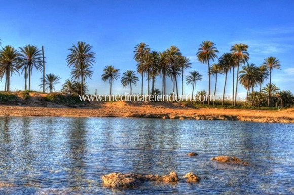 Obra Nueva - Ático - Torrevieja - Playa Del Cura