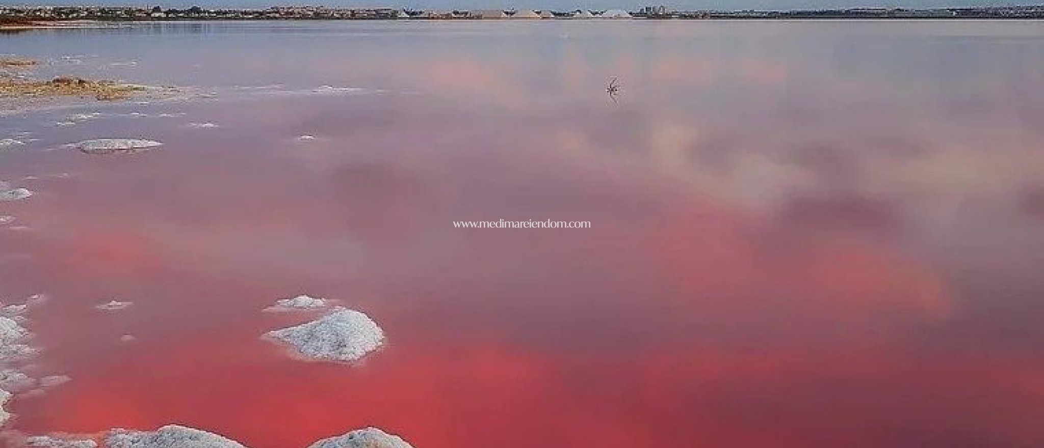 Obra Nueva - Ático - Torrevieja - Playa Del Cura