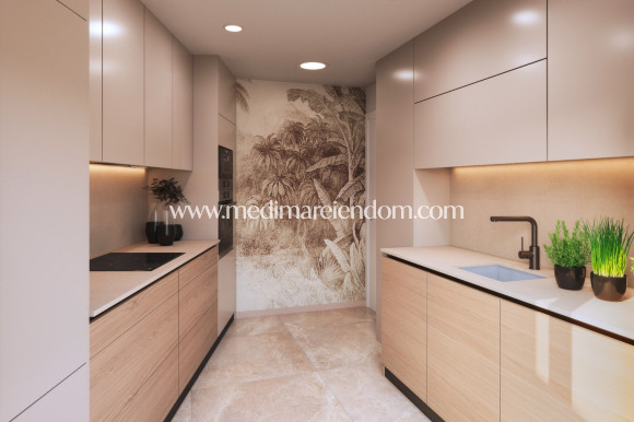 Obra Nueva - Ático - Torrevieja