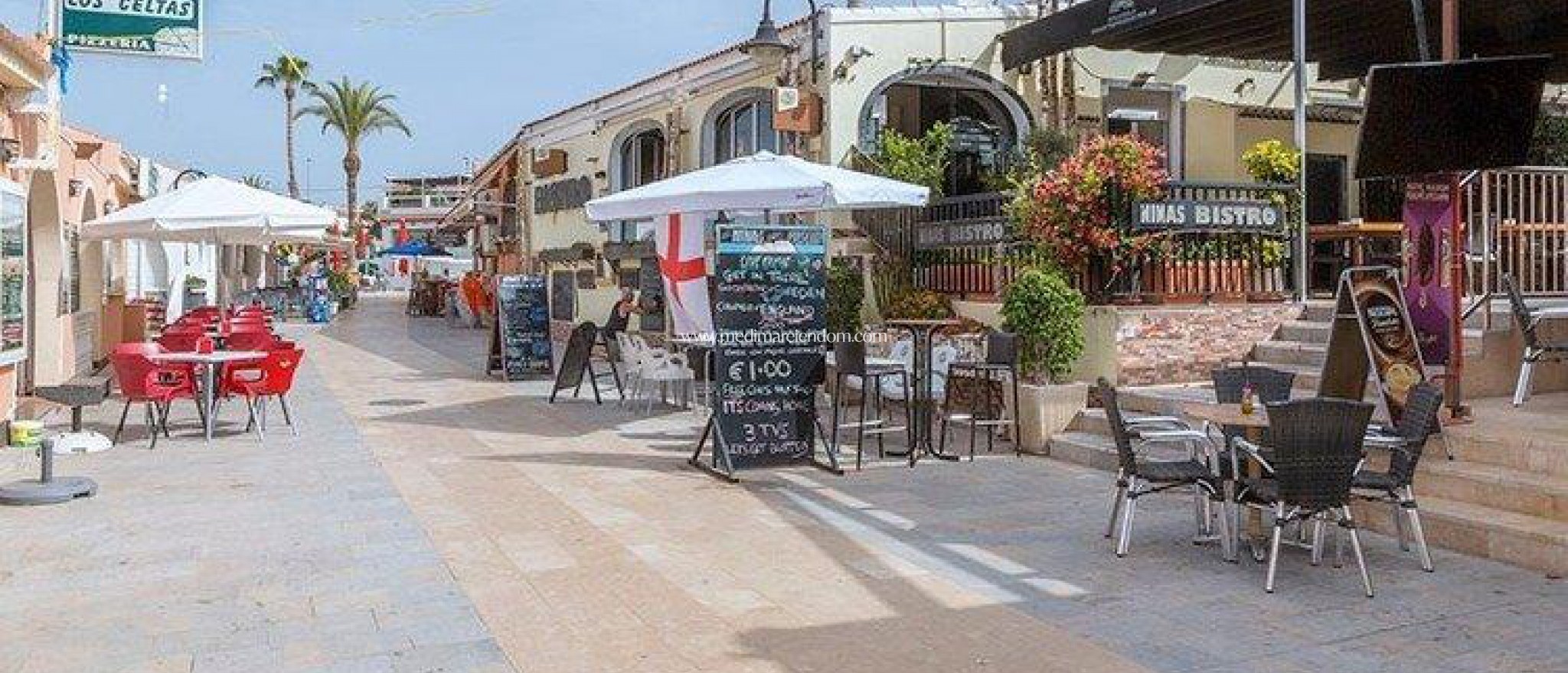 Obra Nueva - Bungalow - Pilar de la Horadada - Mil Palmeras