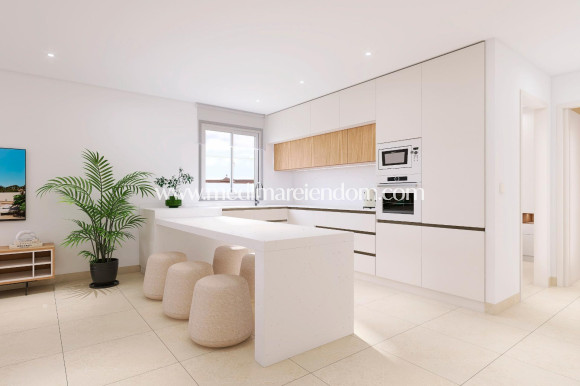 Obra Nueva - Quad House - Bigastro - pueblo