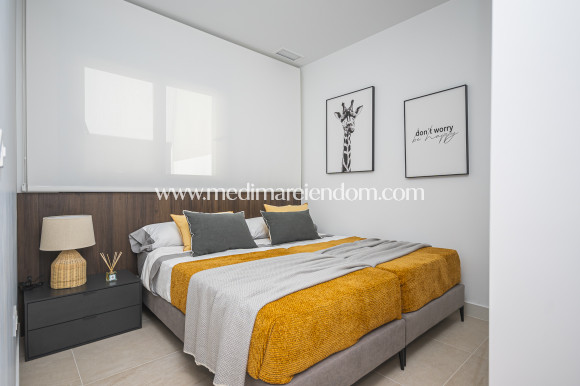 Obra Nueva - Terrazas - Torrevieja
