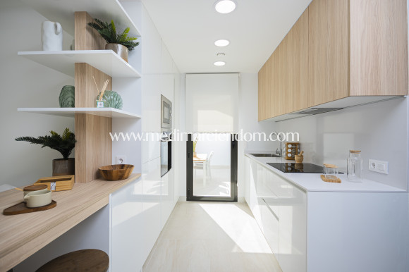 Obra Nueva - Terrazas - Torrevieja