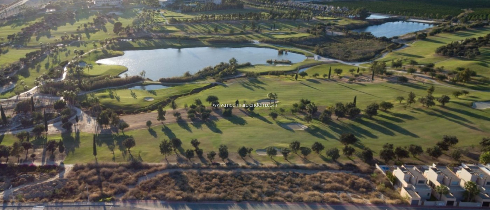 Obra Nueva - Villa - Algorfa - La Finca Golf