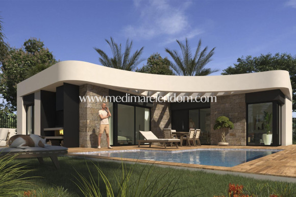 Obra Nueva - Villa - Los Montesinos - La Herrada