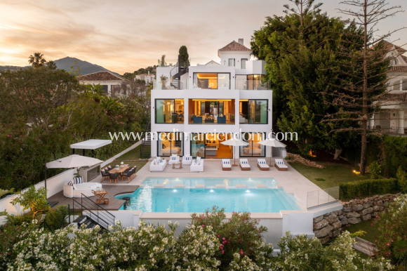 Obra Nueva - Villa - Marbella