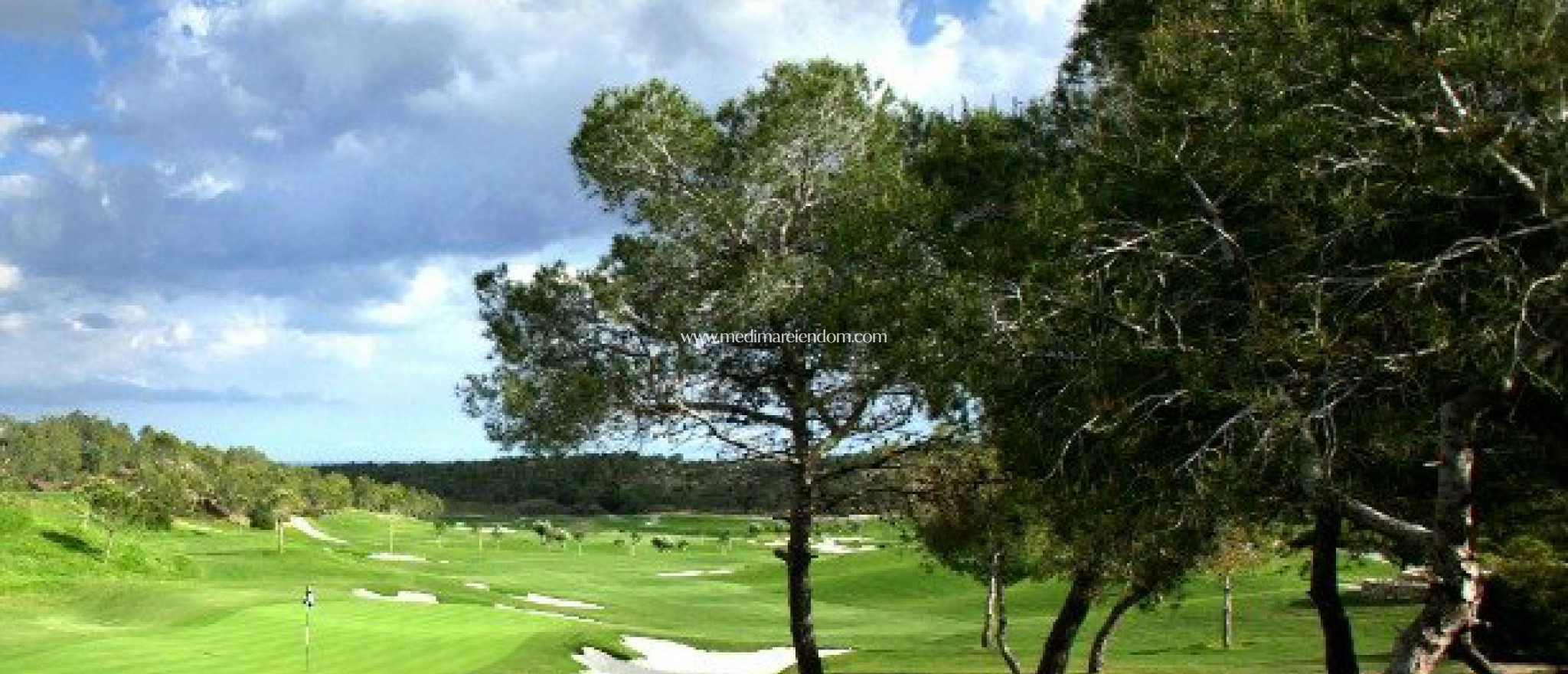 Obra Nueva - Villa - Orihuela - Las Colinas Golf