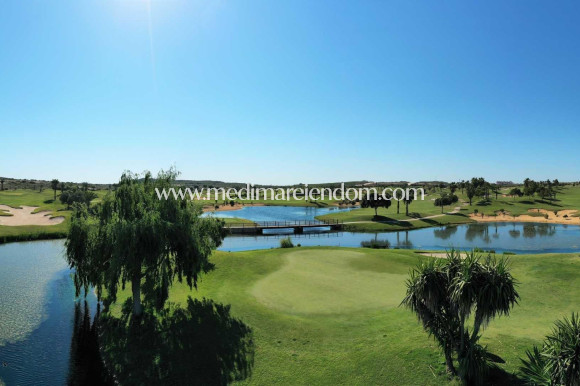 Obra Nueva - Villa - Orihuela - Vistabella