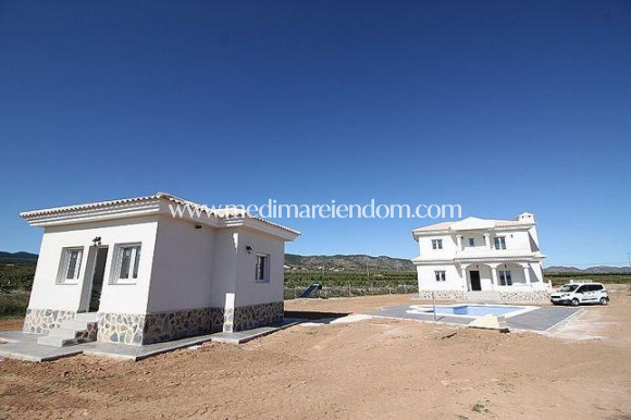 Obra Nueva - Villa - Pinoso - Camino Del Prado