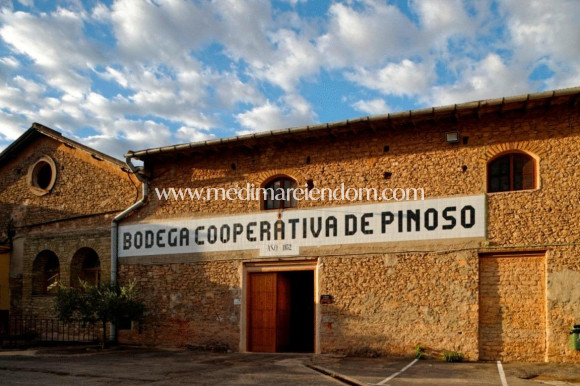 Obra Nueva - Villa - Pinoso - Campo