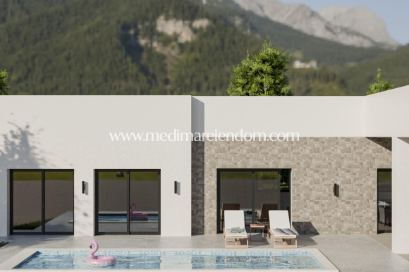 Obra Nueva - Villa - Pinoso - Campo