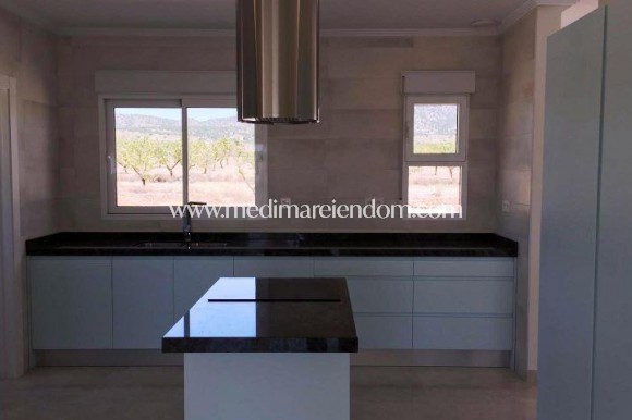 Obra Nueva - Villa - Pinoso - Centro