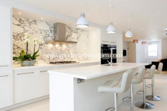 Obra Nueva - Villa - Pinoso - Culebron