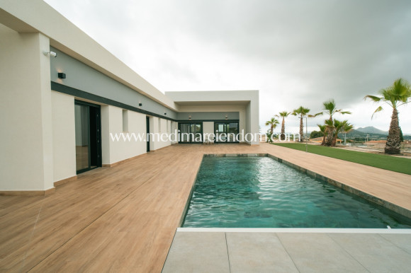 Obra Nueva - Villa - Pinoso