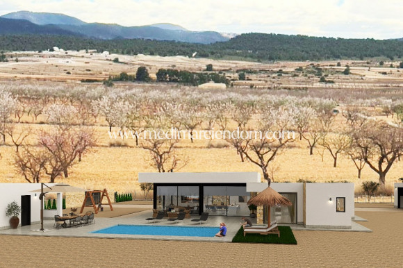 Obra Nueva - Villa - Pinoso