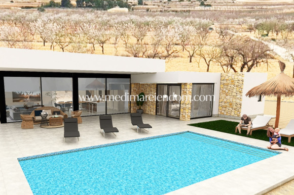 Obra Nueva - Villa - Pinoso