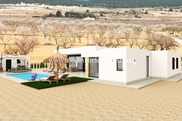 Obra Nueva - Villa - Pinoso