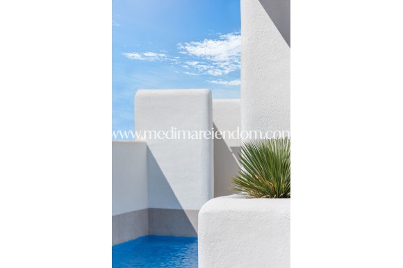 Obra Nueva - Villa - San Fulgencio - Pueblo