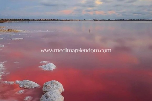 Obra Nueva - Villa - Torrevieja - Lago Jardin