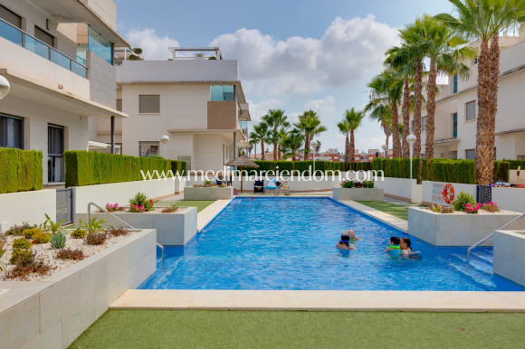 Odsprzedaż - Apartament - Ciudad Quesada
