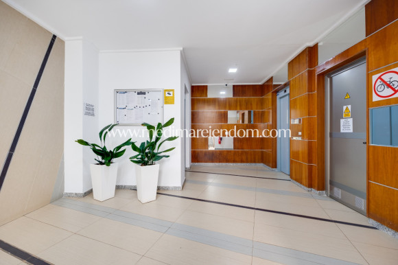 Odsprzedaż - Apartament - La Manga del Mar Menor - La Manga Del Mar Menor