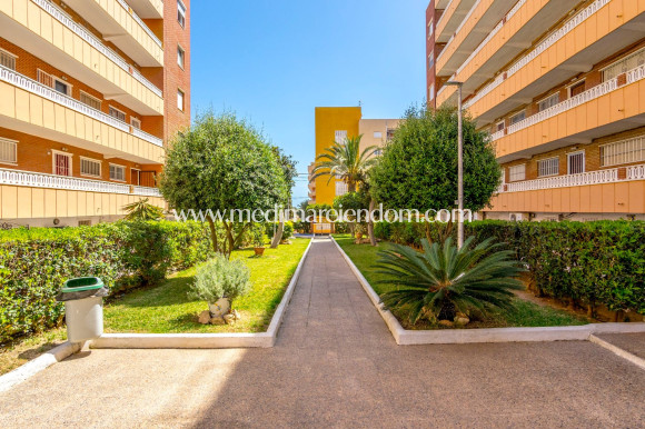 Odsprzedaż - Apartament - Orihuela Costa - Punta Prima