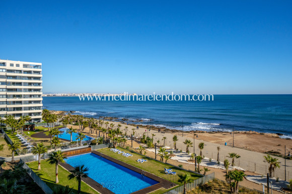 Odsprzedaż - Apartament - Torrevieja - Punta Prima