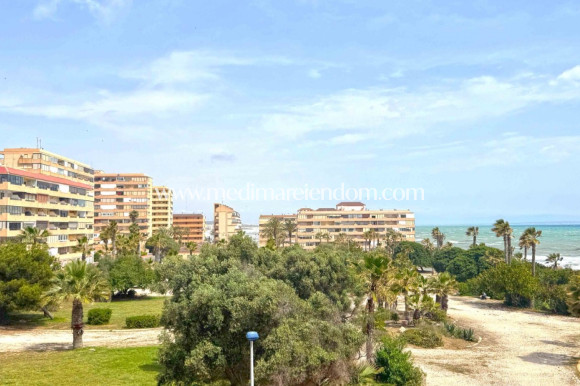 Odsprzedaż - Apartament - Torrevieja - Torrelamata - La Mata