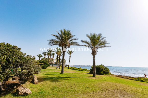 Odsprzedaż - Apartament - Torrevieja