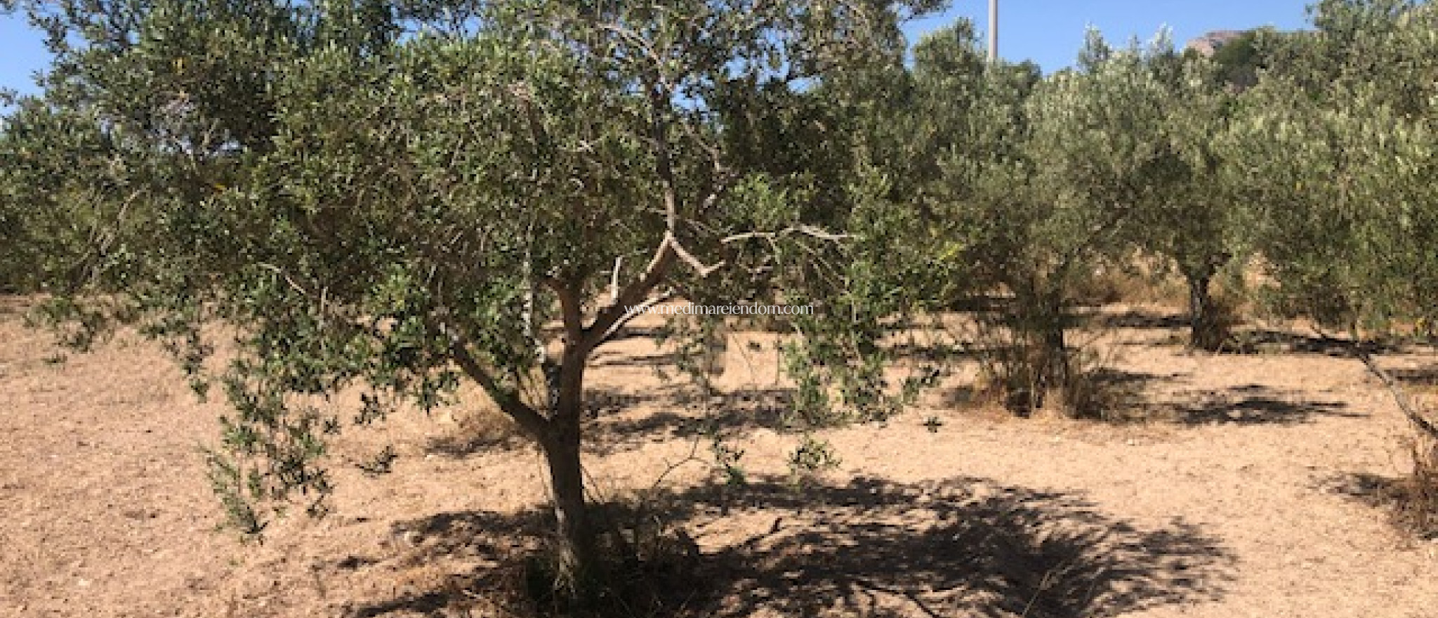 Odsprzedaż - Działka - Calpe - PLAYA COSTA