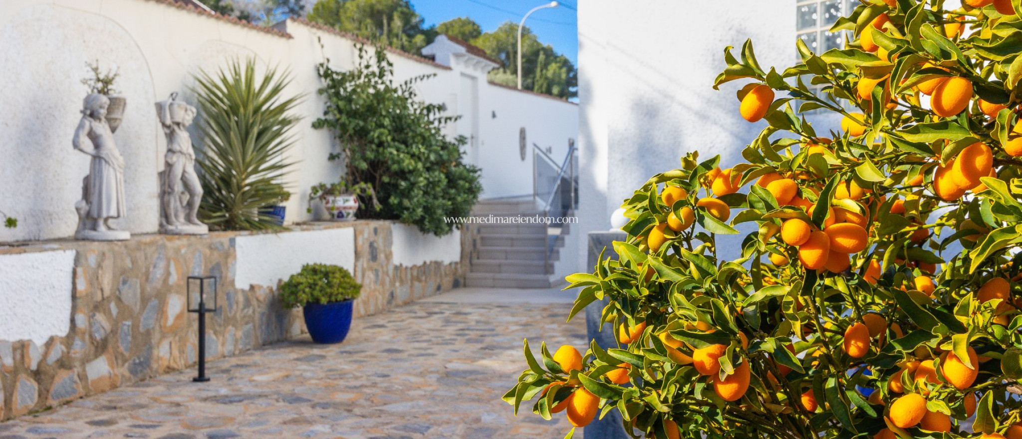 Odsprzedaż - Willa - San Miguel de Salinas