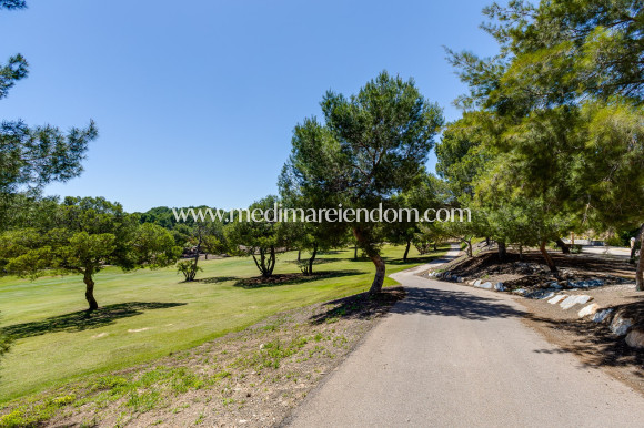 Odsprzedaż - Willa - San Miguel de Salinas