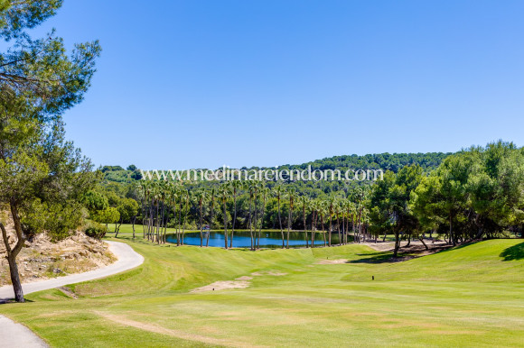 Odsprzedaż - Willa - San Miguel de Salinas