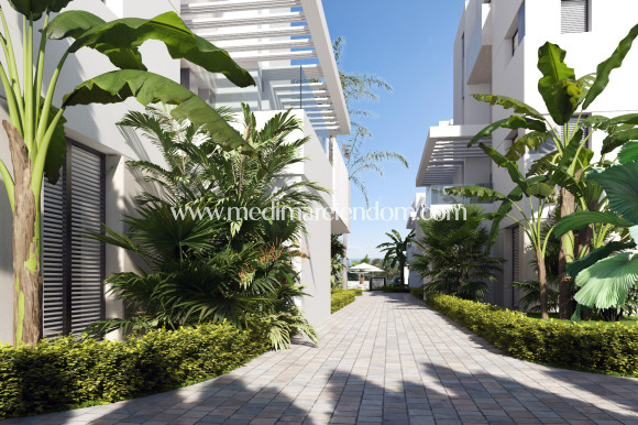 Penthouse - Neubauten - Santa Rosalía - Santa Rosalía