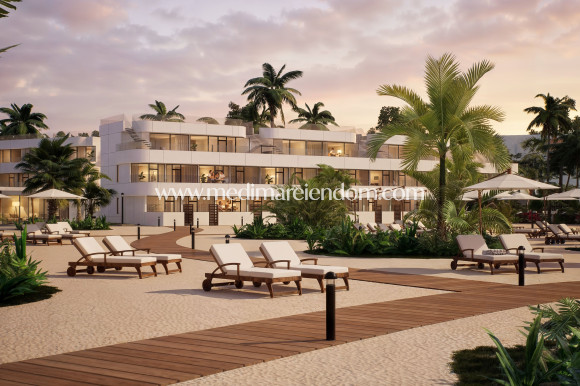 Penthouse - Nouvelle Construction - Vera - NB-83619