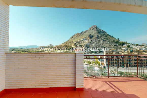 Penthouse - Nybygg - Archena - M-52977